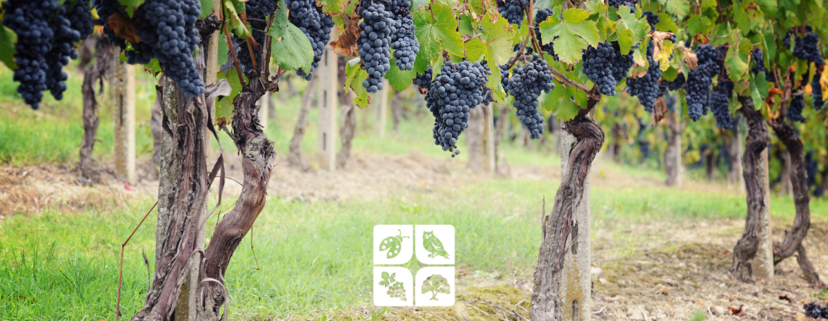 Tailgate | Mothballing Roundtable